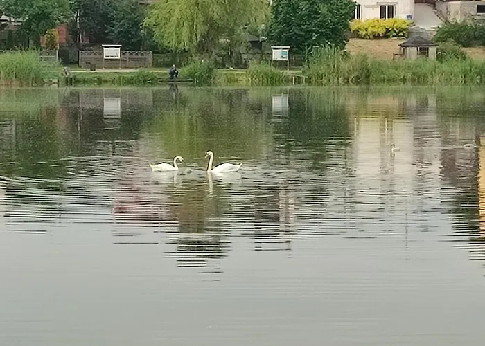 Lazarowka - 펜션 *